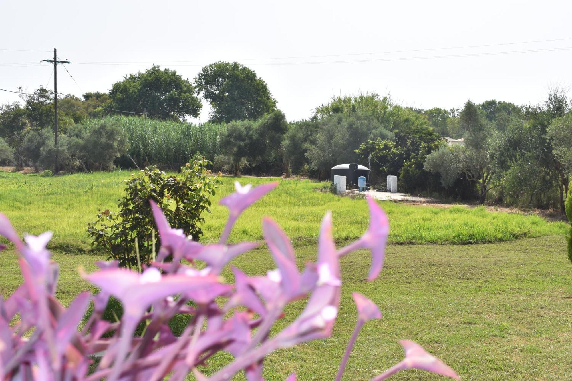 Aparthotel Kokkinia Gardens Kávos Zewnętrze zdjęcie